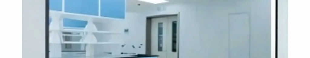 Cleanroom Observation Window