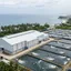 Sandwich Panel Anti Karat untuk Tambak & Bangunan Pesisir 2026