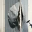 Delaminasi Sandwich Panel: Penyebab, Deteksi dan Garansi