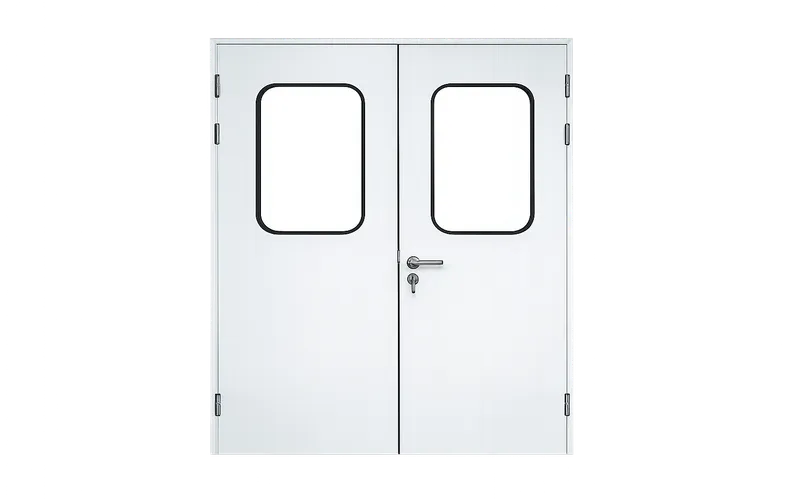 Double Swing Cleanroom Door